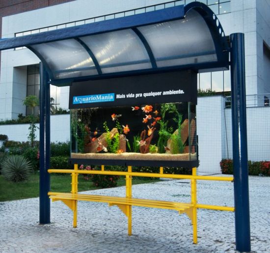 aquariomania busstop