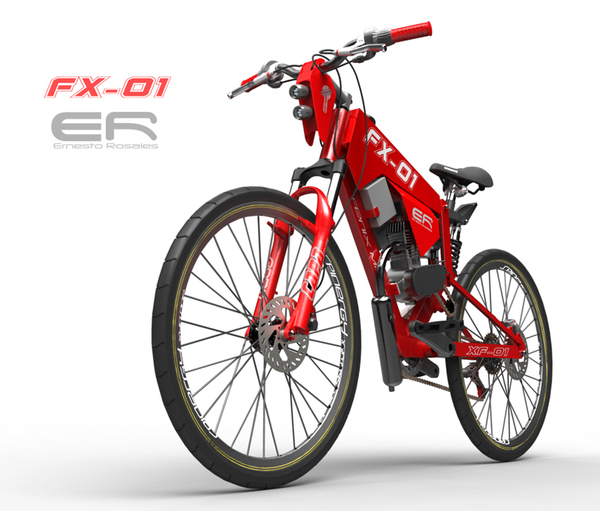Bicimoto FX-01