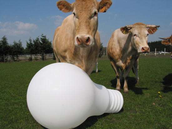Giant Light Bulb