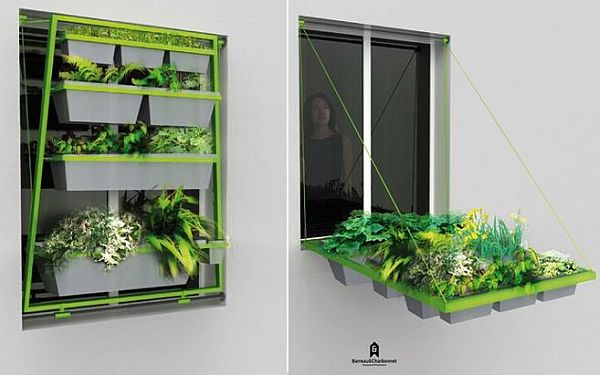 Hanging Plant Balcony