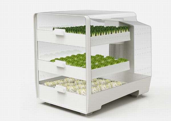 Kitchen Farm