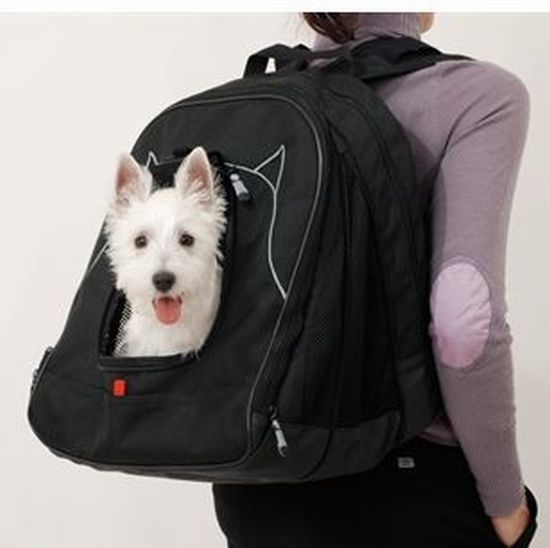 pet laptop backpack 02