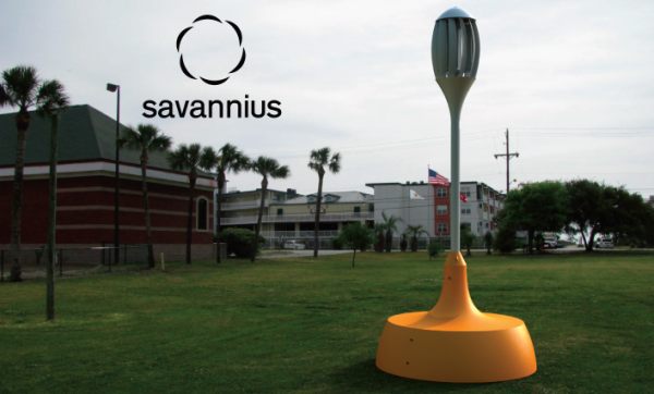 savannius by hirotaka matsui