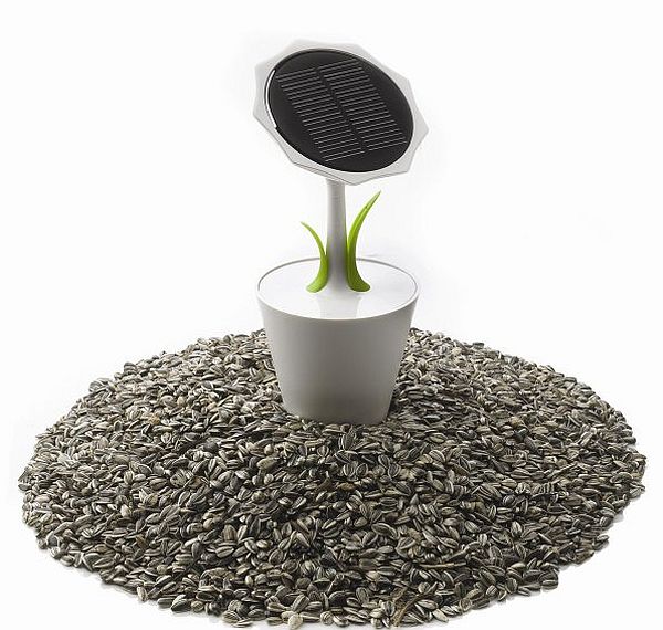 Solar Sunflower
