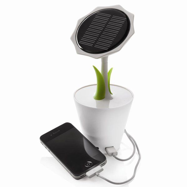 Solar Sunflower