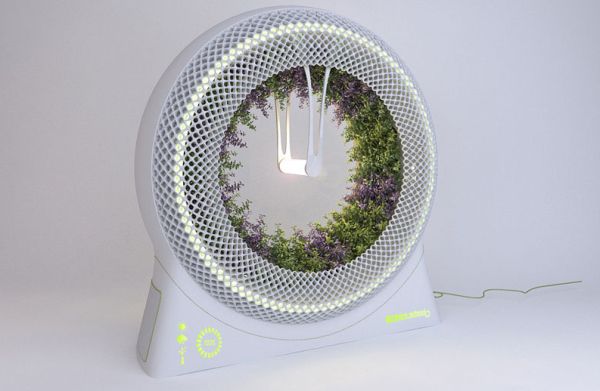 The Green Wheel