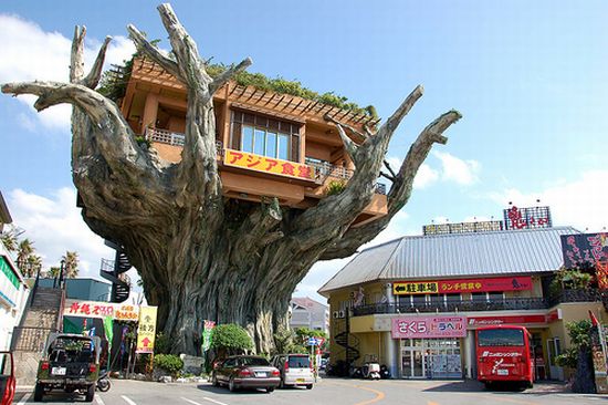 treehouse restaurant