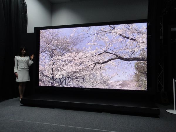 Ultra High Definition plasma display