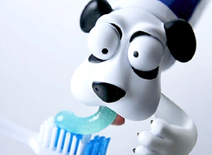 pic001_dog_toothpaste_cover_300