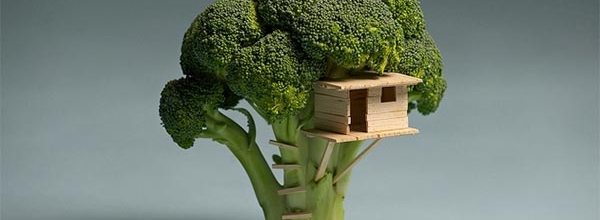 broccoli_house