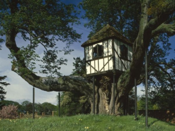 pitchford-hall-treehouse-628x471
