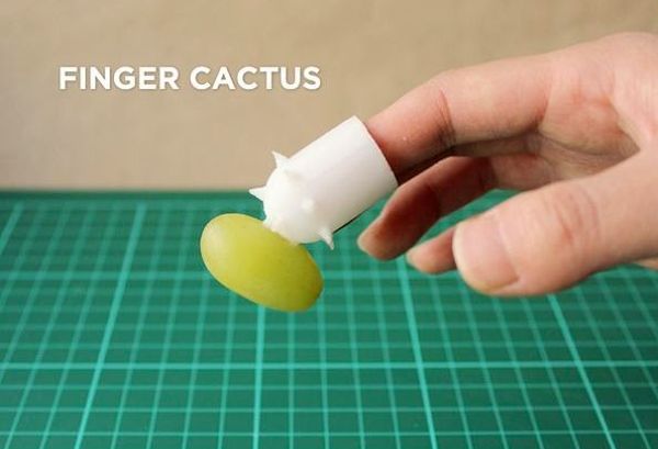 Fingers Cactus_1