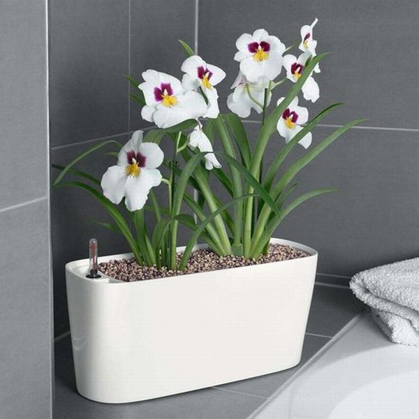brookstone-self-watering-planter-2.jpg.492x0_q85_crop-smart