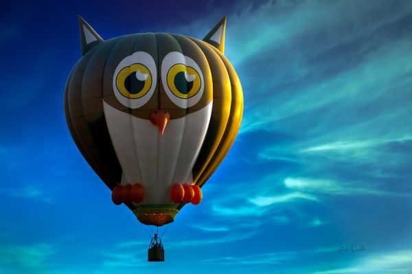 owl-hot-air-balloon-bob-orsillo