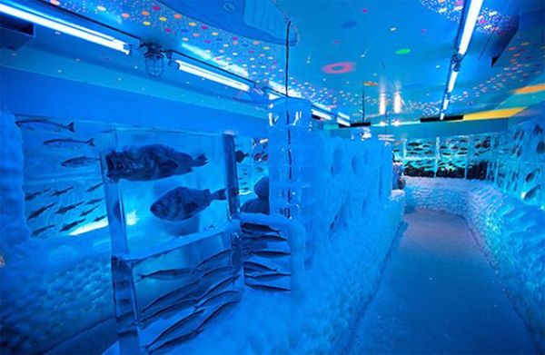 08 Ice Aquarium